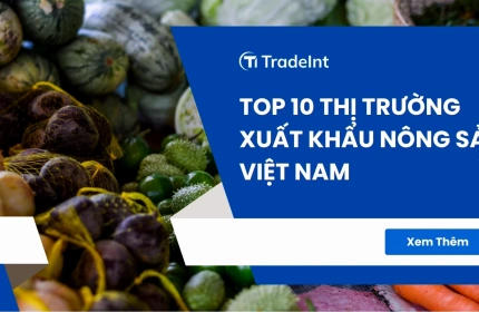 Xuất khẩu Nông sản Việt Nam: Cơ hội và Thách thức đến năm 2026
